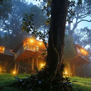 4* Semesteranläggning (resort) Nature Zone Jungle
