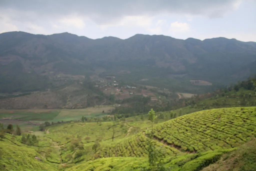 Séjour chez l'habitant Green Magic Home Munnar Inde