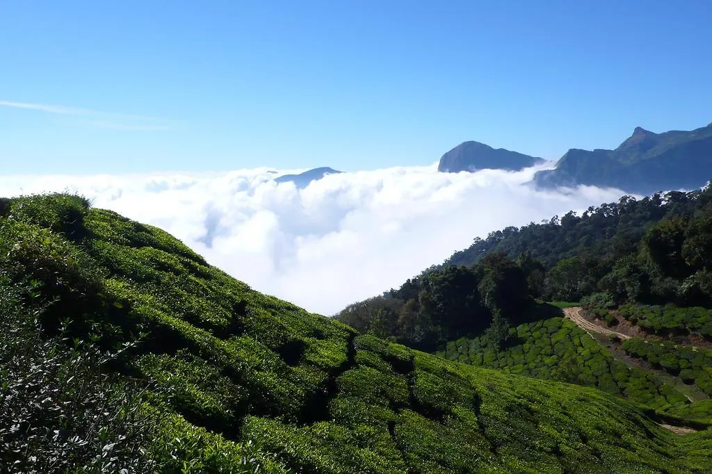 Séjour chez l'habitant Green Magic Home Munnar