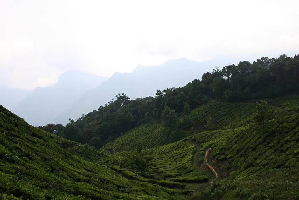 Green Magic Home Munnar Séjour chez l'habitant